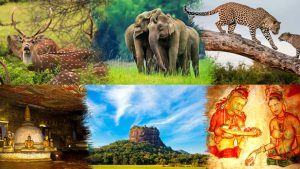 Cultural, Heritage & Wildlife Exploration Tour